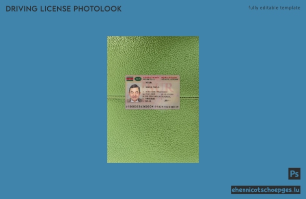 Surinamischer Führerschein 2022-heute: Beispielansicht der Fotos